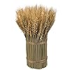 Primitives by kathy small wheat bundle decorative bouquet  urban country home decor