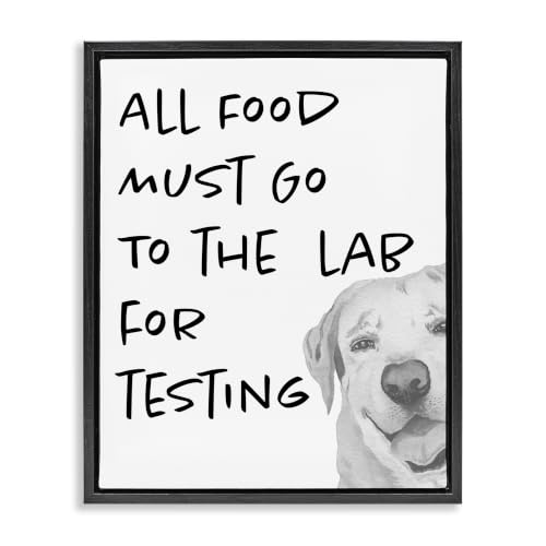 Funny Dog Food to Lab Testing, 16 x 20 Inch Canvas in Floater Frame