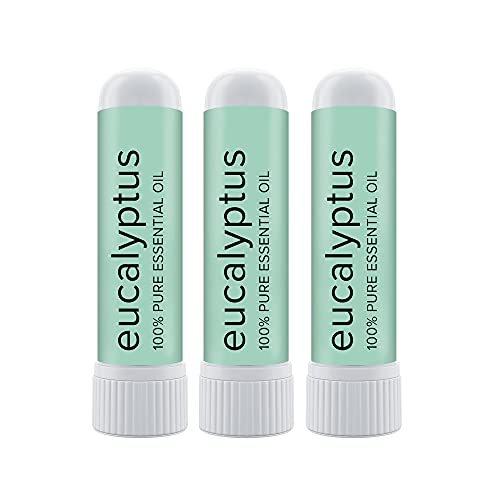 Top 10 Best Inhaler For Nasal Congestion Reviews & Buying Guide Katynel