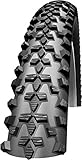 Schwalbe