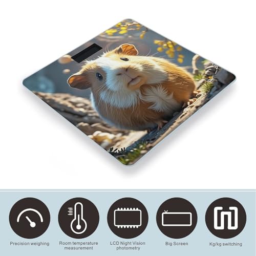 Báscula Digital de Baño FekiLoot con Plataforma Antideslizante miniatura 3