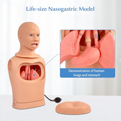 Image of JNMFTD Nasogastric Intubation Tube Manikin, Gastric Trachea Care Mannequin Lavage Tracheostomy Manikin Advanced Nursing Model with Product Manual Card for Medical Nursing Training Teaching Education