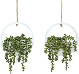 Hobyhoon Hanging Plant Artificial Succulents Fake String of Pearls Plants 12.2'' in Wooden Pot for Indoor Outdoor Wall Decor (2)