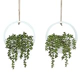Hobyhoon Artificial Hanging Plants Hanging Planter Fake Succulents Artificial String of Pearls with