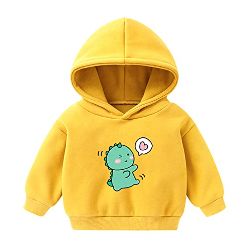 Kids Boy Girl Cute Dinosaur Pullover Hoodie Long Sleeve Hooded Sweatshirt Fall Winter Clothes Warm Outwear Top