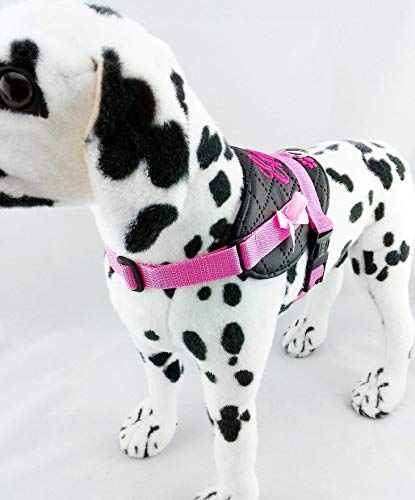 Hundegeschirr kleine Hunde S M L XL XXL mit Wunsch Namen bestickt Kunstleder schwarz rosa