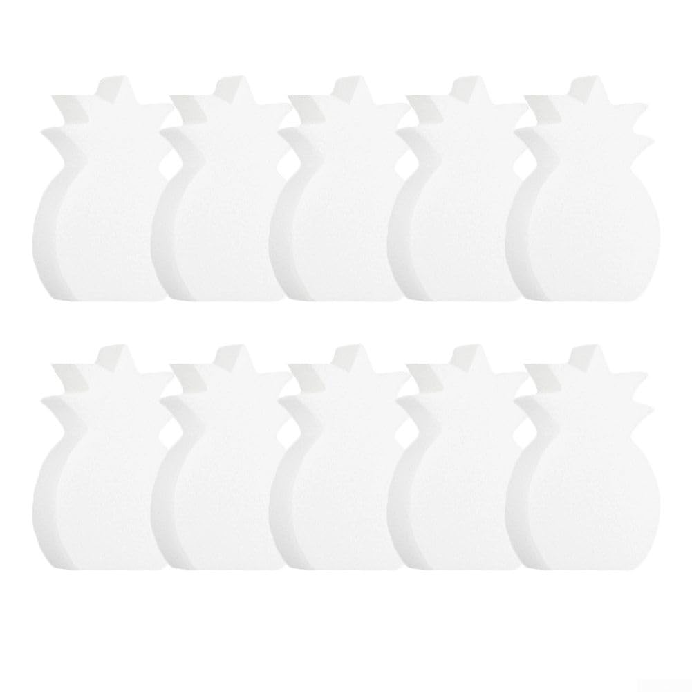 Pool Oil Absorbing Sponges 10 Pieces For Spa Maintenance Removes Sunscreen Body Oil And Keeps Water Clear Protects Filter System And Offers Easy Restoration By Soaking(B)
