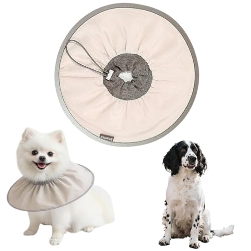 Lifetips�C���O���b�V���X�v�����K�[�X�p�j�G�������L���p �G���U�x�X�J���[ �h�� �\�t�g �y�� �p��P�A �����ی� �Ȃߖh�~ ���p ���E�ȒP �􂦂� �P�A�J���[(�R�R�A���e�j(M�j