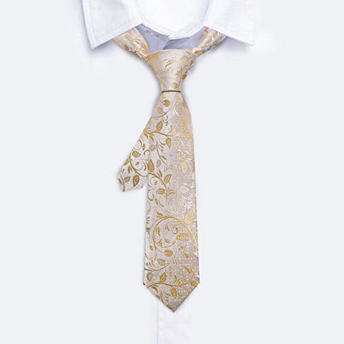 Image of Barry.Wang Boys Ties School Pre-Tied Kids Necktie Handkerchief Clip Set Uniforms Child Ties for 8-14 Years Wedding Party