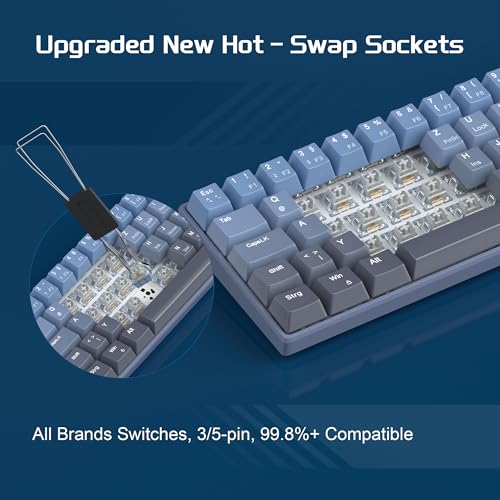 MageGee MK-STAR61 60% Mechanische Tastatur DE Layout, Hot-Swap-fähige kabelgebundene RGB-Gaming-Tastatur mit Farbstoff-Sublimationstastenkappen, vorgeölten Schaltern, Eva-Schaum für Mac/Win (blau) – Bild 5