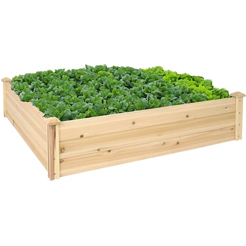 Sunnydaze Square Wood Raised Garden Bed - Outdoor Elevated Planter Box for Flower, Vegetable, and Herb Gardening - 4’ x 4’ - Thumbnail 6