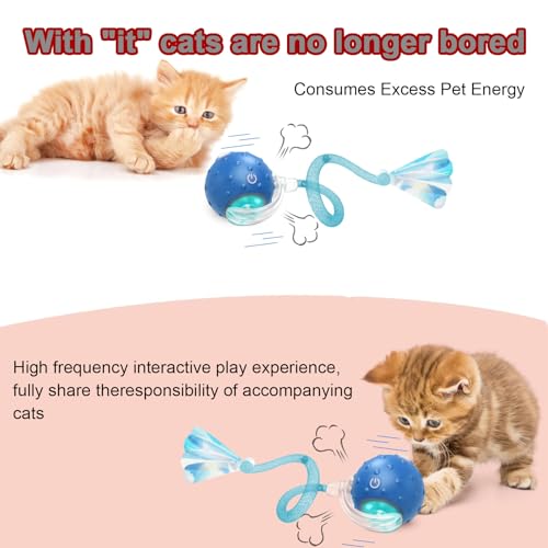 Interactive Cat Toy Ball Cat Toys for Indoor Cats Adult Cat Toy Smart Cat Ball Toy for Cats Motion Sensor Smart Pet Ball – Image 4