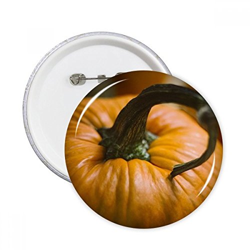 Badge citrouille fraîche décoration vêtement original rond bouton automne grand format XL