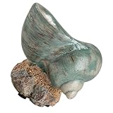 Gatuida Adorno de Mesa Concha Hawaiana de Resina Decoración Marina Costera para Hogar y Oficina Figura Artística de Caracola para Manualidades DIY Pieza Única para Centro de Mesa