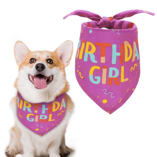 Banda de cumpleaños para Perro, Bandana Triangular para cumpleaños de niña, Suministros para Fiestas de cumpleaños de Mascotas, Bandana de cumpleaños para niñas pequeñas, Gatos y Perros (Morado)