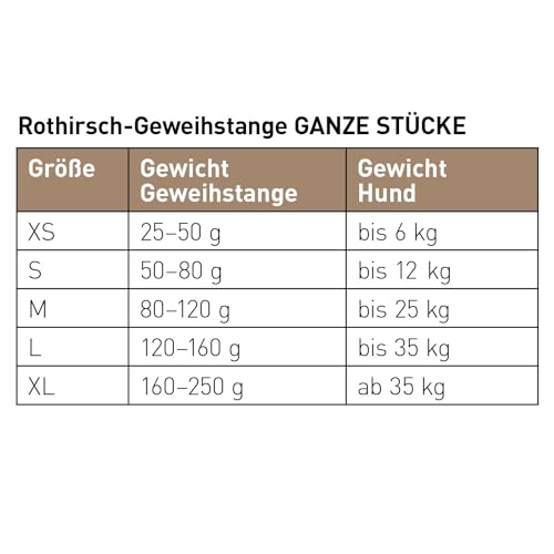 Chewies Kaugeweih für Hunde - ganze Stange - Abwurfstange vom Rothirsch - Hirschgeweih - natürlich unf mineralstoffreich, Größe M, 1 Stück (1er Pack)