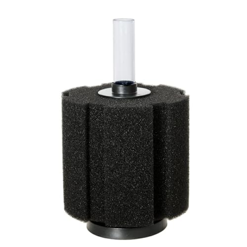 ANAVXe vWFNgtB^[ ar l ז