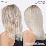 Redken, Champú Sin Sulfatos para Fortalecer, Acción Reparadora,...