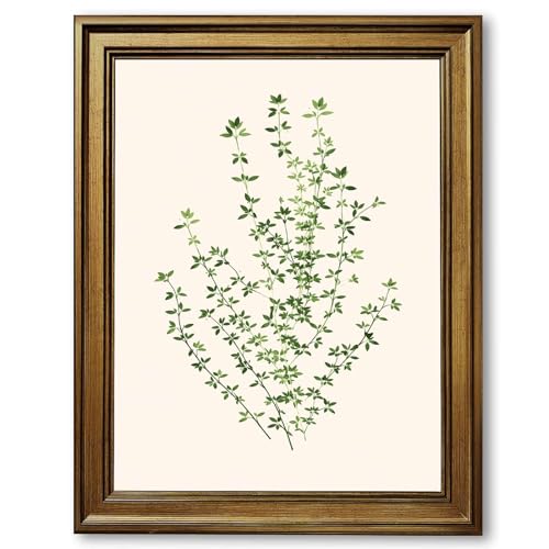 Framed Green Herb Plant Poster Canvas Wall Art for Living