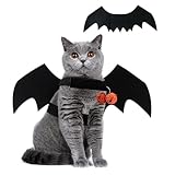 Katzen Halloween Kostüm Hund Fledermaus Flügel, Halloween Cat Costume Pet, Inklusive Fledermausflügel Hund und Kürbisglocken, für Haustier Halloweens Party, Cosplay für Haustiere (M)