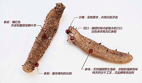 Xlseafood Xxlseafood Premium Sun Dried Alaska Sea Cucumber Sample Pack (2 Pcs Each) 旭龙行淡干海参 阿拉斯加野生红参特级品 试吃装 含2只6年小号参(Sample)… thumb #6