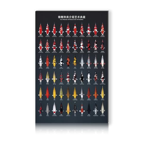 Finest Folia RV002 Aluminium Sign 30 x 20 cm Decorative Hobby Sign for Garden Living Room Garage Outdoor Decoration Retro Blackboard Hobbies Weatherproof Robust Stable RV002 (25 Koi)