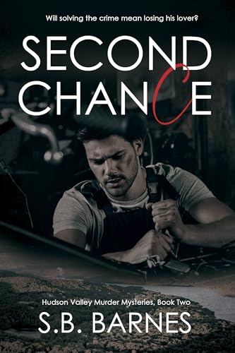 Second Chance (Hudson Valley Murder Mysteries Book 2)