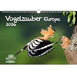Seelenzauber
