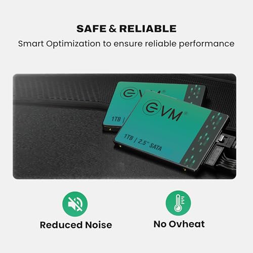 EVM Store EVM 1TB 2.5-Inch SATA III SSD - Image 5