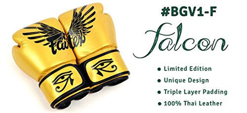 fairtex falcon gloves