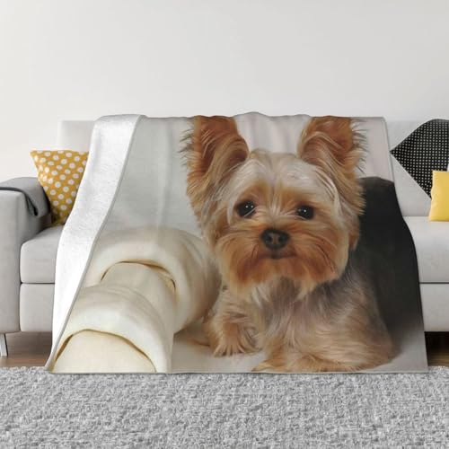 ѕz G [NVeA  킢  uPbg  ӂӂ GARuPbg Ђ|  _炩G tl 􂦂 Ódh~ lGKp lC v[g 102cmx76cm