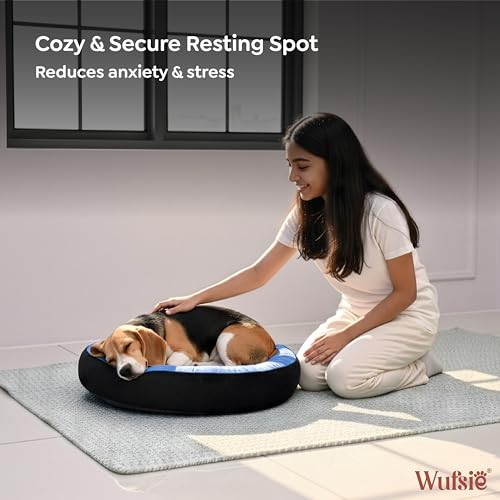 Image of Velvet Dog Bed in Round Shape | Medium 70 Cm | Premium Velvet Pet Bed for Cats and Puppies | Soft & Cozy Sleeping Bed for Dog with Removable Insert | Black & Sky Blue