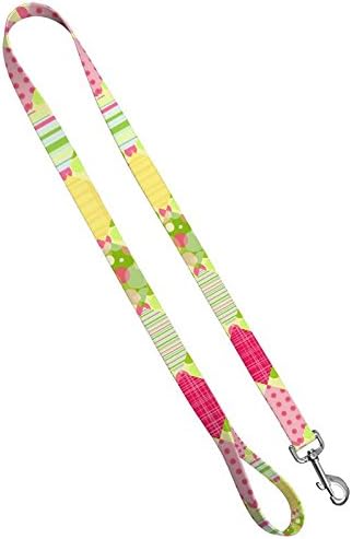 Moose Pet Wear Deluxe Dog Leash - Patterned Heavy Duty Pet Leashes, Made in the USA - 3/4 Inches x 4 Feet, Girly Picnic