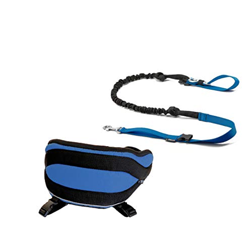 Cat-or-dog.boutique Profi-Set für Canicross: Komfortgurt Pro + Leine, ausziehbar: 3 Größen, (L: Gewicht des Hundes: 30 kg, blauer Gürtel mit Leine) Cover