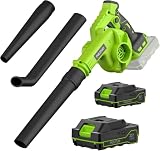 Leaf Blower Cordless with 2 Batteries and Charger, 20V Electric Cordless Blower 120MPH Small Leaf Blower, Lightweight Battery Blower Yard Tools Grass Blowers for Lawn Care Patio Backyard Leaves Dust