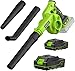 Leaf Blower Cordless with 2 Batteries and Charger, 20V Electric Cordless Blower 120MPH Small Leaf Blower, Lightweight Battery Blower Yard Tools Grass Blowers for Lawn Care Patio Backyard Leaves Dust