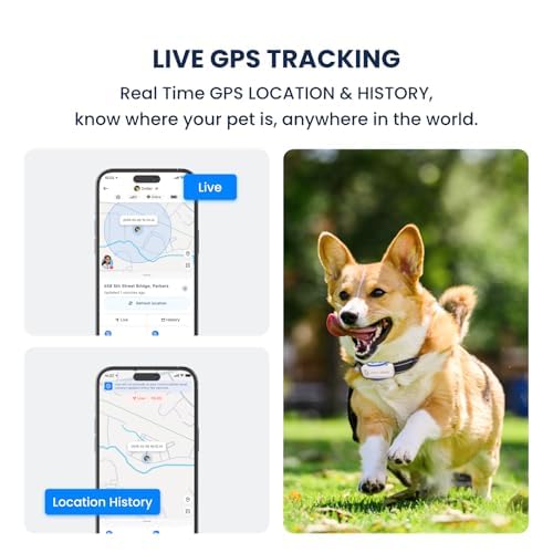 DBDD AI GPS Dog Tracker, Virtual Fence & AI Health Monitor, Waterproof - Image 3