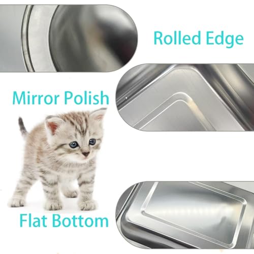 Kit para arenero pequeño de acero inoxidable para gatitos miniatura 4