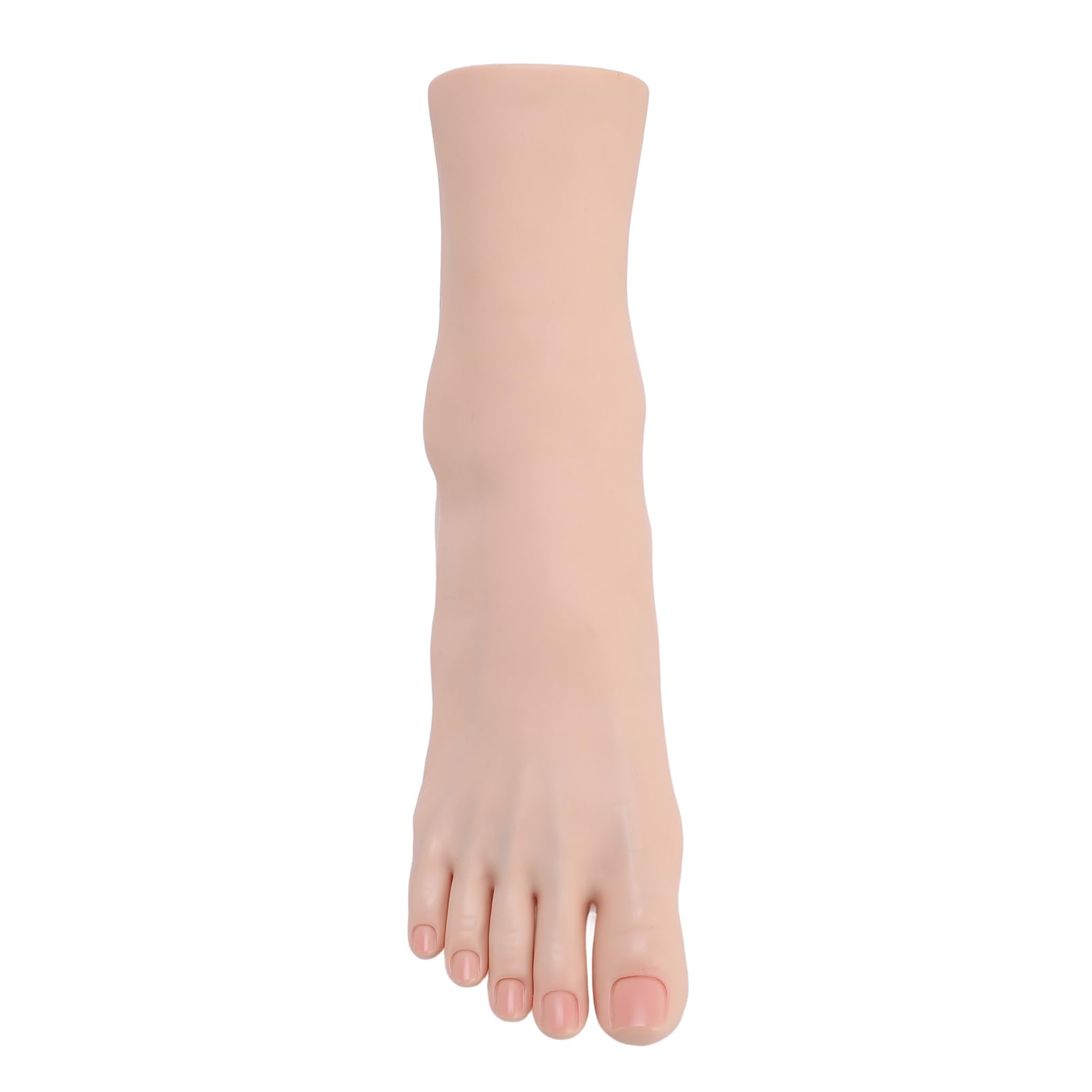 ciciglow Modèle de Pied en Silicone, Pied de Mannequin à la Réaliste Flexible à la Touche Douce avec Une Structure Osseuse Musculaire Réaliste, pour la Photographie de l'art de l'art. (Pied Droit)