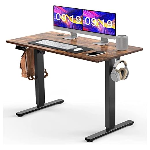 SMUG 48 x 24 Inches Sit Home Office Computer, Ergonomic Desk with Memory Preset Controller Standing Table, 48" x 24", Rustic Brown