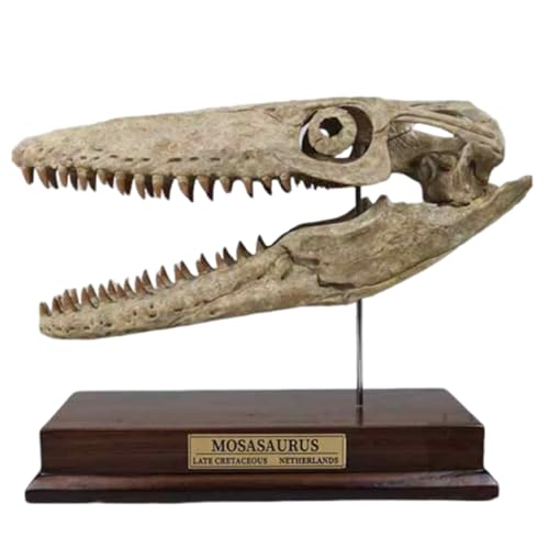 LKYLVEE Mosasaurus Skull Fossil Statue - Resin Dinosaur Replica Head Sculptures - Dinosaur Fossil Skeleton Ornament Home Office Decor,Brown,24cm