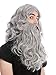 Produktbild WIG ME UP - 90760-A+B-ZA68E Perücke & Bart Geflochten Herren Karneval Fasching Wikinger Viking Normanne Barbar Zwerg Grau