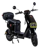 Bicicleta Elétrica Wasp 800w S/Pedal Sem Cnh Moto Scooter