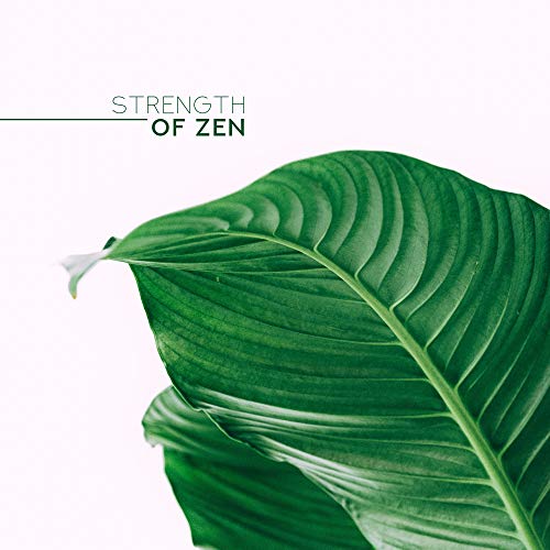 Strength of Zen
