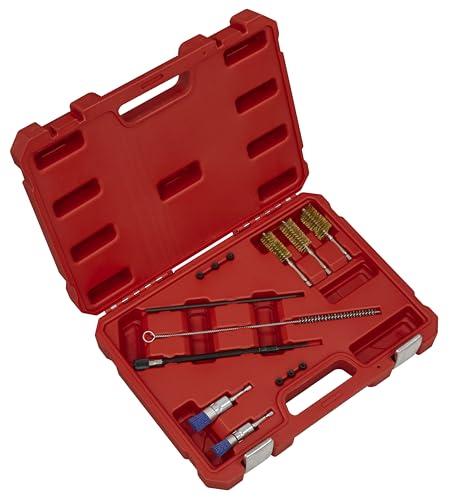 Kit brosses nettoyage puits injecteur Sealey VS1900 14 pièces rouge
