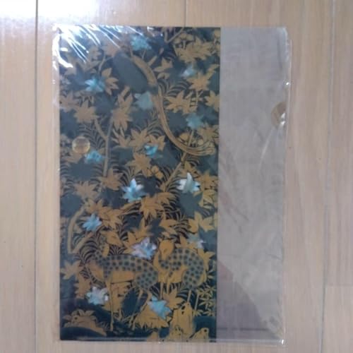 p ObY ԎbG퐹 ̃NAt@C