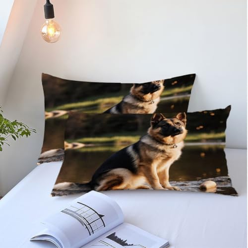 Linge de lit 220x240 cm chien berger brun confortable et facile à ranger