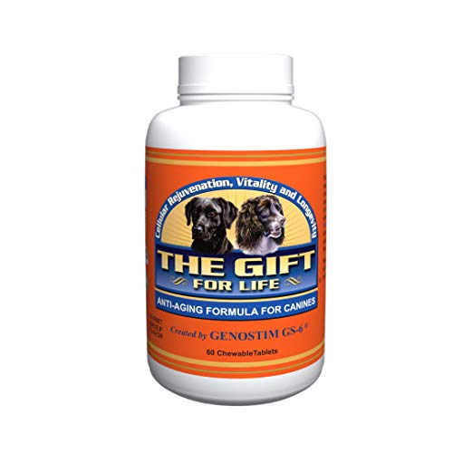 THE GIFT FOR LIFE Advanced K9 Joint Supplements for Dogs, 60 Hip