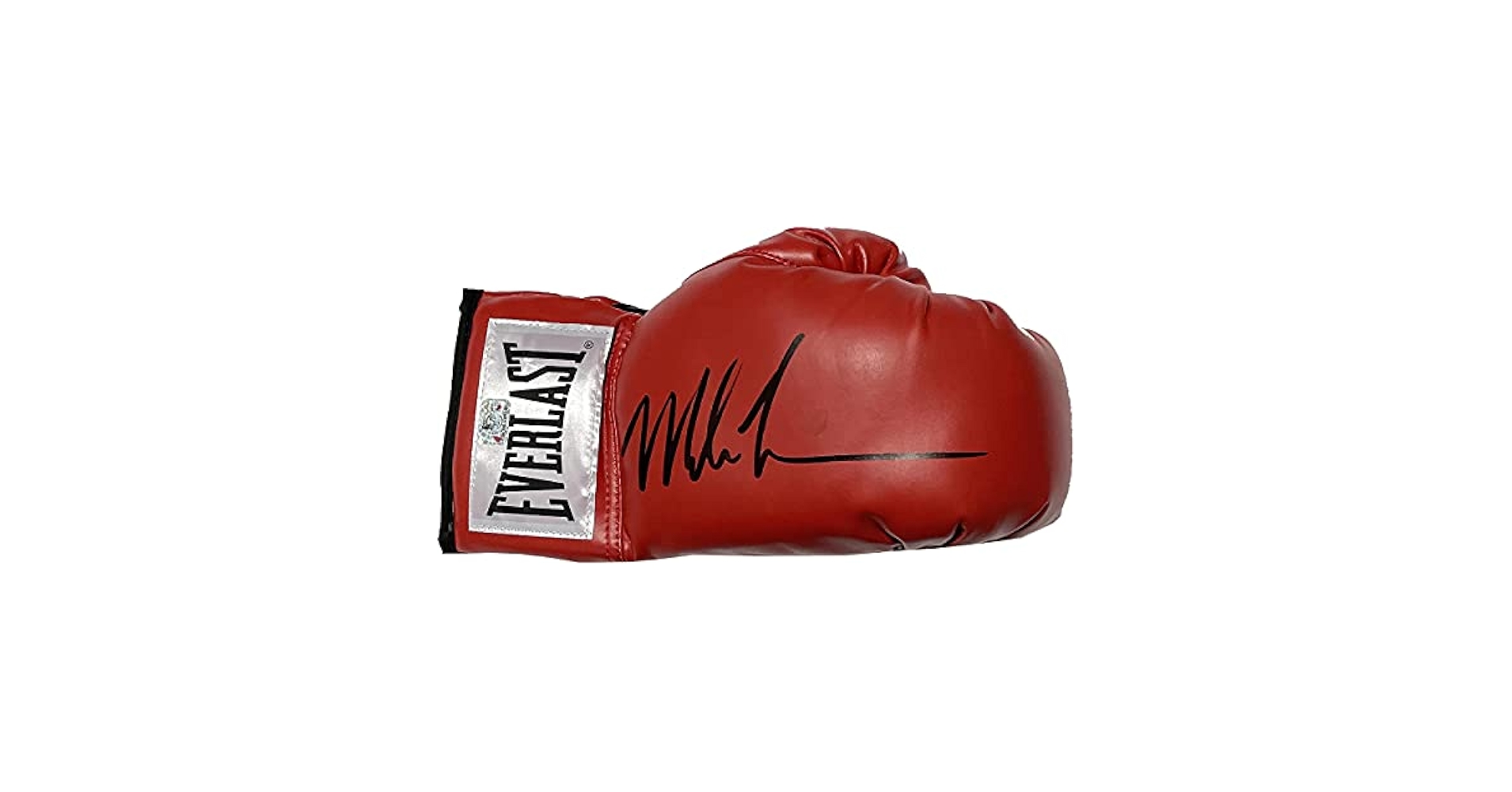 BEDWIN × EVERLAST BOXING GLOVE TYSON 20210406_170558__93200.