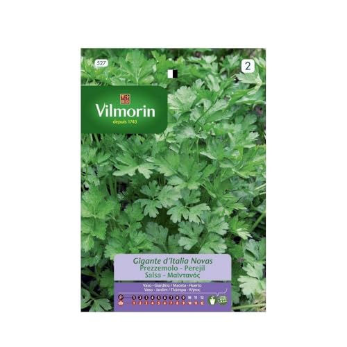 Kit 5 bustine semi PREZZEMOLO GIGANTE D'ITALIA RACE NOVAS 527